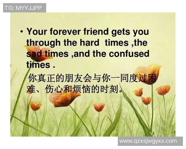 足球明星大侦探破解赛场谜团揭示背后的真相与友情的故事